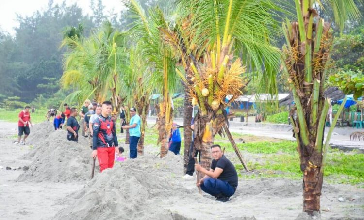 Rekor Dunia Tanam Kelapa Terbanyak di Kota Bengkulu, Program Gotong Royong Tanpa APBD