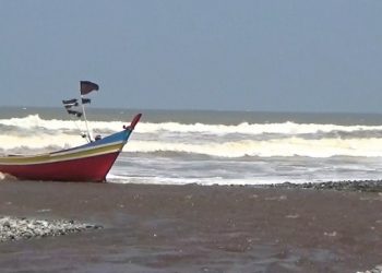 Dinas Perikanan Seluma Usulkan Kembali 700 Kartu E-Kusuka, Berikut Ini Manfaatnya