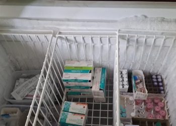 Distan Mukomuko Pastikan Stok Vaksin Rabies Masih Tersedia