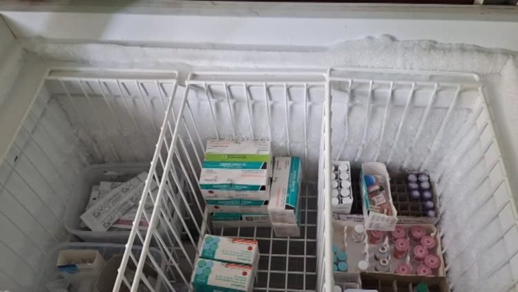 Distan Mukomuko Pastikan Stok Vaksin Rabies Masih Tersedia