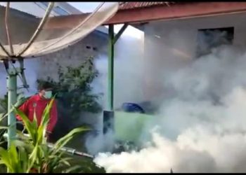 Awas DBD Mengganas, Dinkes Bengkulu Utara Catat 137 Kasus