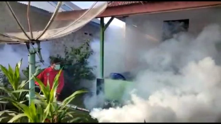 Awas DBD Mengganas, Dinkes Bengkulu Utara Catat 137 Kasus
