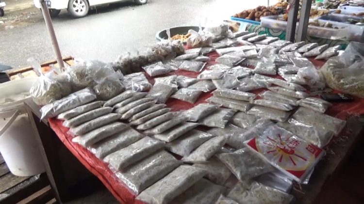 Keresahan Pedagang Tahu Tempe di Pasar Purwodadi, Berharap Harga Kedelai Masih Bisa Turun