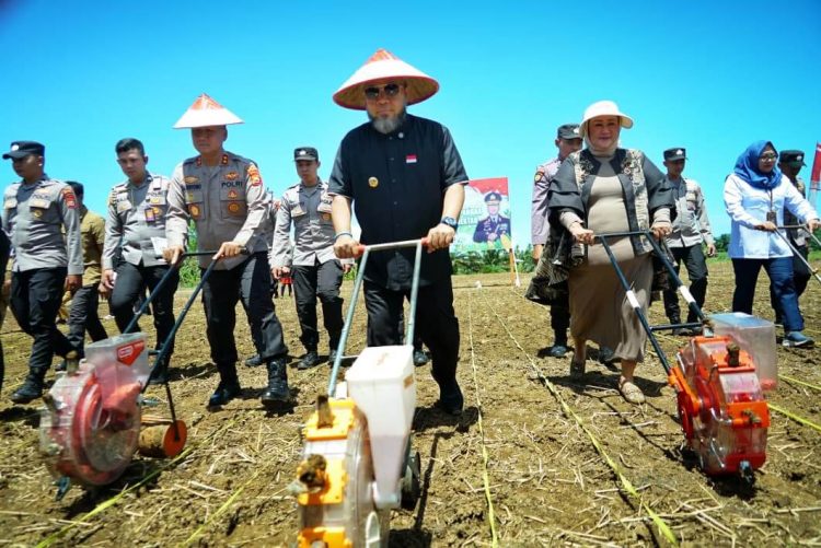 Lomba Ketahanan Pangan Satu Desa Satu Hektar di Provinsi Bengkulu Berhadiah Rp 2,2 M