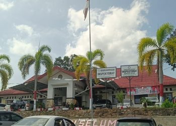 Rekomendasi Inspektorat ke Wakil Bupati Seluma Tentang Dugaan Skandal Asusila Oknum Kades dan Waka BPD