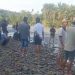 Pelajar SMP Hanyut di Sungai Ketahun Saat Mengikuti Hari Bakti Pramuka ke-64 di Bukit Sago