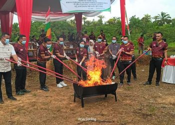 Kejari Seluma Gelar Pemusnahkan Barang Bukti yang Sudah Berkekuatan Hukum Tetap
