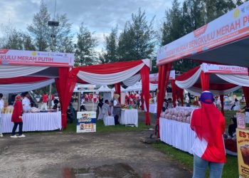 Bazar UMKM Menjamur dan Panen Cuan di Jalan Sehat Merah Putih Bengkulu