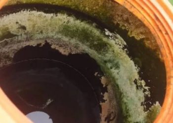 4 Cara Mudah Membersihkan Lumut di Toren Air, Bisa Pakai Kapur atau Cuka