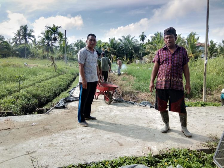 Ini Daftar Dana Desa di Kabupaten Cianjur Jawa Barat, Desa Mana yang Paling Besar?