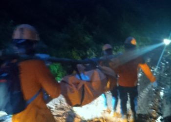 Warga Mukomuko Tewas Tertimpa Pohon di Kebun Sawit, Proses Evakuasi Tidak Mudah