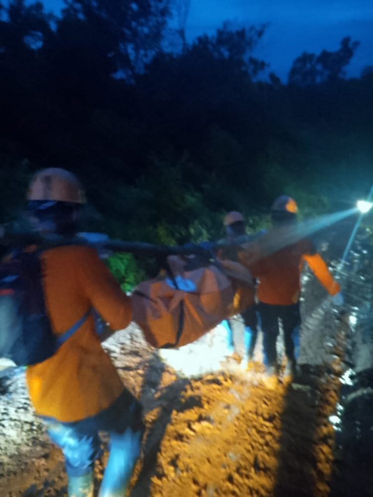 Warga Mukomuko Tewas Tertimpa Pohon di Kebun Sawit, Proses Evakuasi Tidak Mudah