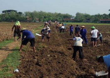 Daftar Penerima Dana Desa di Kabupaten Simalungun, Cek Penerima Terbesar