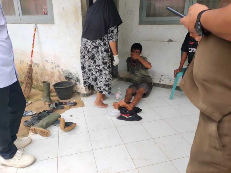 Lagi Sadap Karet, Maradona Diterkam Beruang Madu di Seluma