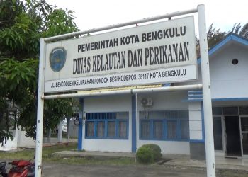 Ini Plh Kepala DKP Kota yang Ditunjuk Pemkot Bengkulu Gantikan Tarzan Naidi