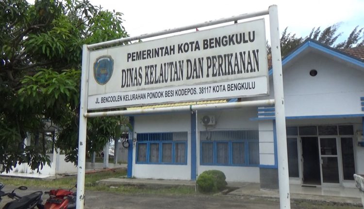 Ini Plh Kepala DKP Kota yang Ditunjuk Pemkot Bengkulu Gantikan Tarzan Naidi