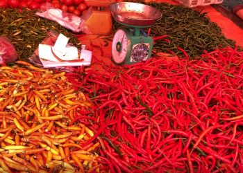 Harga Cabai Merah di Kota Bengkulu Makin Pedas dalam Sepekan