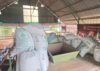 Investigasi Ombudsman, Kota Bengkulu Kesulitan Pasokan Gabah