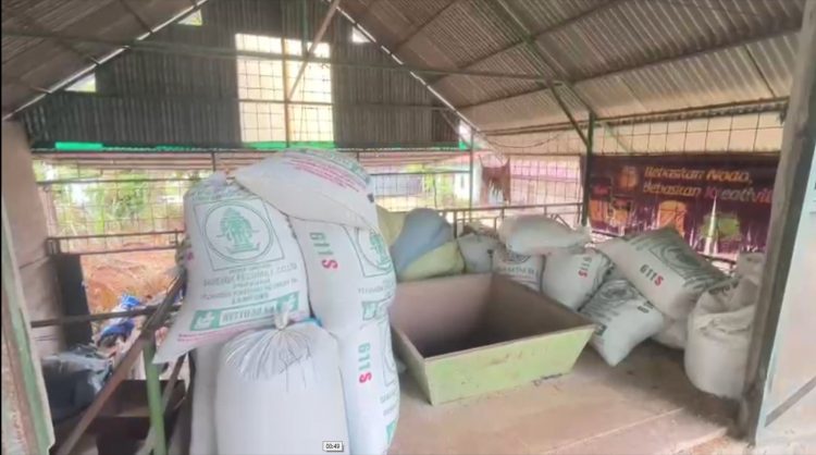 Investigasi Ombudsman, Kota Bengkulu Kesulitan Pasokan Gabah