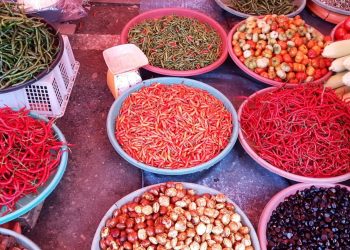 Harga Cabai Merah Makin Menggigit, Emak-emak di Bengkulu Utara Menjerit