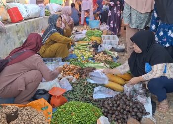 Retribusi PAD di 38 Pasar Rakyat di Mukomuko Baru Capai 30 Persen