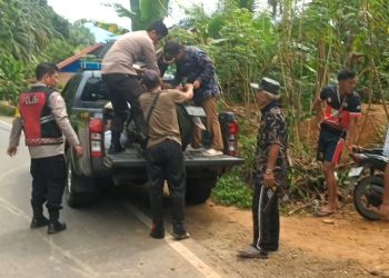 26 Nyawa Melayang Akibat Kecelakaan Lalu Lintas di Seluma