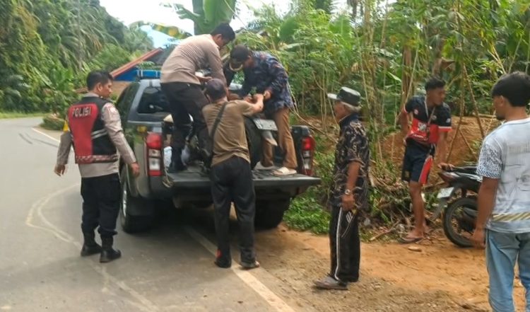 26 Nyawa Melayang Akibat Kecelakaan Lalu Lintas di Seluma