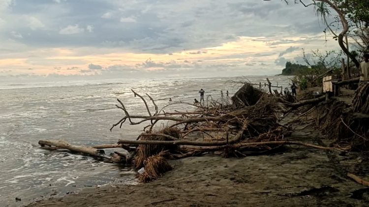 Kondisi Memprihatinkan Pantai Pasar Seluma, Abrasi dan Sampah Berserak