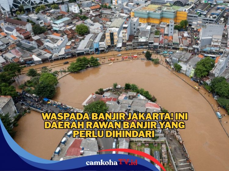 Waspada Banjir Saat Musim Hujan, Ini Daerah Rawan Banjir di Jakarta