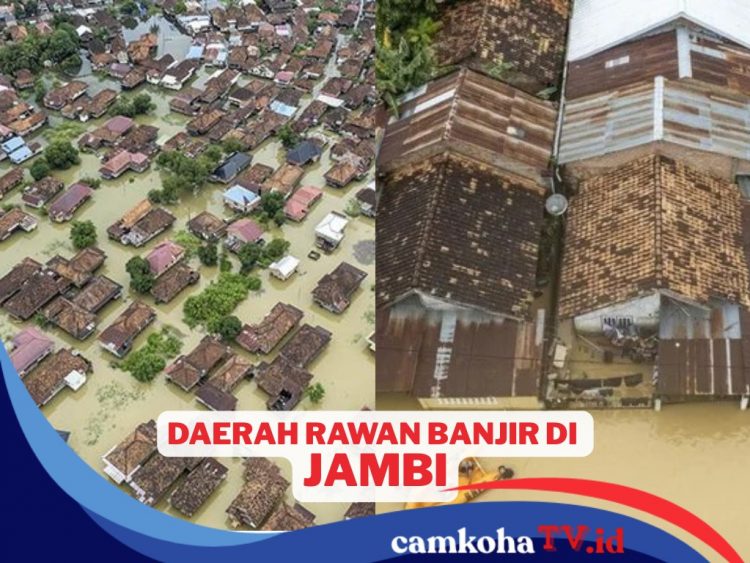 Lengkap, Ini Daftar Kecamatan di Provinsi Jambi Rawan Banjir