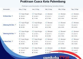 Prakiraan Cuaca Wilayah Kota Palembang 10 Hari ke Depan, Ada Potensi Hujan Petir