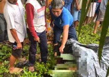 Mayat Pria di Pinggir Jalan Gegerkan Warga Mukomuko, Polisi Lakukan Penyelidikan