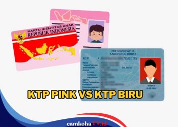 Apa Bedanya KTP Pink dan Biru? Ini Perbedaan dan Fungsinya