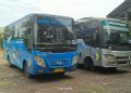 Perum DAMRI Siapkan 7 Armada Bus Perintis, Jurusan Bengkulu-Kaur Ada 2 Unit