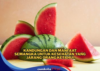 Segar dan Penuh Khasiat, Ini Manfaat Semangka untuk Kesehatan yang Jarang Diketahui