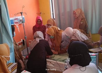 Balita di Seluma Mengeluarkan Cacing dari Mulut dan Hidung, di Rumah Ada Pelihara Ayam, Sama Seperti Kasus Alm Raya