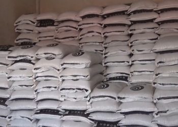 Harga Kedelai Impor di Bengkulu Utara Turun, Pasokan Dipastikan Masih Aman