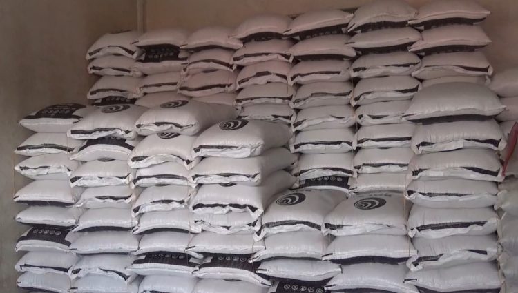 Harga Kedelai Impor di Bengkulu Utara Turun, Pasokan Dipastikan Masih Aman