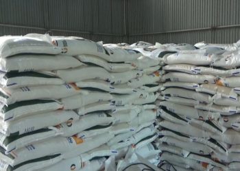 Bulog Bengkulu Utara Pastikan Tetap Serap Beras Petani