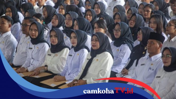 Apakah PPPK Paruh Waktu Dapat Gaji ke-13? Seperti Ini Aturannya