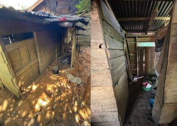 Atensi Gubernur Helmi Hasan, Hari Ini Rumah Balita Khaira Mulai Dibangun