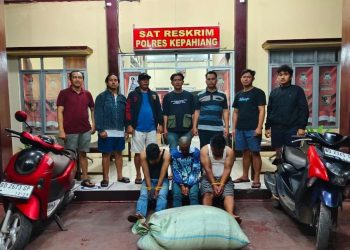 Harga Kopi Mahal, 3 Warga Kepahiang Ini Menyelinap ke Halaman Warga Malam Hari, Sekarang Masuk Sel