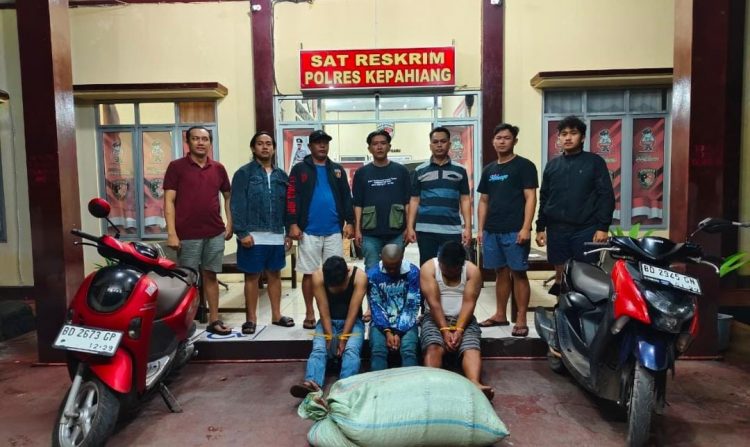 Harga Kopi Mahal, 3 Warga Kepahiang Ini Menyelinap ke Halaman Warga Malam Hari, Sekarang Masuk Sel