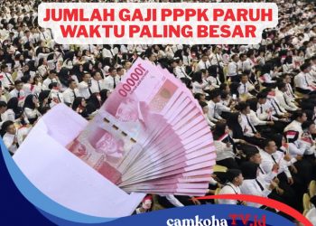 Daftar Lengkap Gaji PPPK Paruh Waktu Seluruh Indonesia, Tertinggi di Pulau Jawa