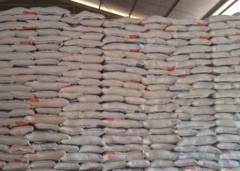 Kabar Baik, Bulan Depan Warga Bengkulu Utara Dapat Bantuan Beras 10 Kilogram