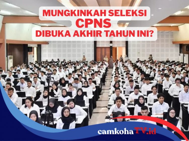 Penerimaan CPNS 2025 akan Dibuka Akhir Tahun Ini, Benarkah?