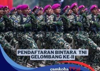 Masih Ada Waktu, Ini Syarat Pendaftaran Bintara TNI Gelombang II 2025