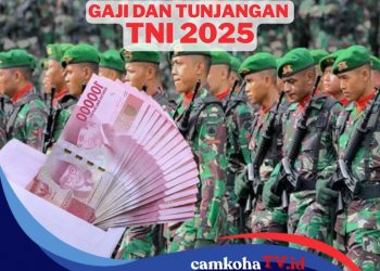 Bagi yang Penasaran, Ini Daftar Gaji TNI 2025 Lengkap dengan Tunjangannya