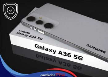 5 HP Tahan Lama dan Harga Terjangkau September 2025, Cocok Buat Kamu yang Cari Performa Awet Bertahun-tahun