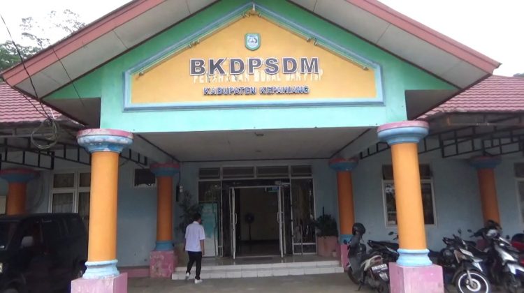 Puluhan calon PPPK Paruh Waktu di Kepahiang tidak bisa diajukan NIK